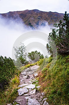 A beautiful mountain landscape with trees