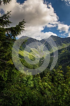 A beautiful mountain landscape with trees