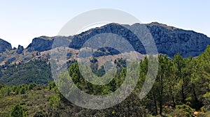 Beautiful mountain landscape, typical Spanish vegetation pine, juniper, palm trees, blue sky, sun