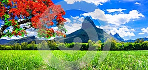 Beautiful mountain landscapes of Mauritius island with famous re