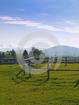 Beautiful mountain meadow