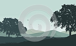 Beautiful mountain panorama in the morning with an aesthetic silhouette of trees. Vector illustration