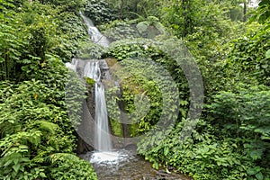 Beautiful mountain rainforest waterfall with fast flowing water