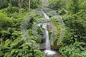 Beautiful mountain rainforest waterfall with fast flowing water