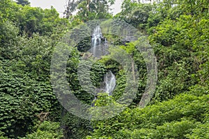 Beautiful mountain rainforest waterfall with fast flowing water