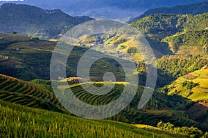 Beautiful rice terrace field on hill in Northern Vietnam