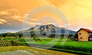 Beautiful mountain with rice fields stretch makes an amazing sight