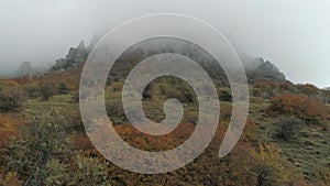 Beautiful mountain ridges and trees in thick fog. Shot. Autumn landscape.