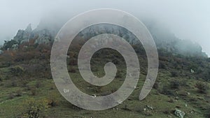 Beautiful mountain ridges and trees in thick fog. Shot. Autumn landscape.