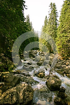 A beautiful mountain river landscape in Tatry