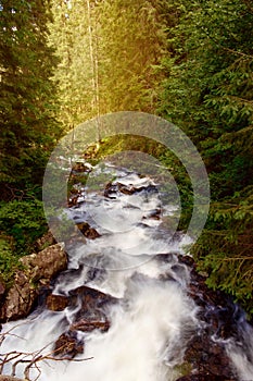 Beautiful mountain river Slovakia Beautiful landscape mountain r