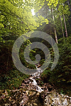 Beautiful mountain river Slovakia landscape mountain river sunset