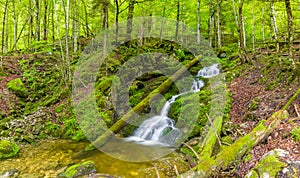 Beautiful mountain river stream. Sunny nature background of river and rocks