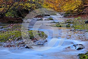 Beautiful mountain river with waterfalls and fallen leaves in a very beautiful mountains valley in autumn season.