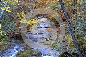 Beautiful mountain river with waterfalls and fallen leaves in a very beautiful mountains valley in autumn season.