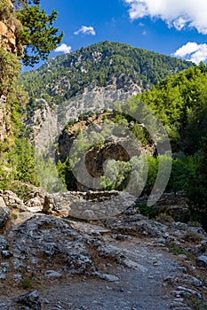 Beautiful mountain scenery of a gorge surrounded by tall cliffs and pine trees Samaria Gorge, Crete, Greece