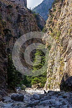 Beautiful mountain scenery of a gorge surrounded by tall cliffs and pine trees Samaria Gorge, Crete, Greece