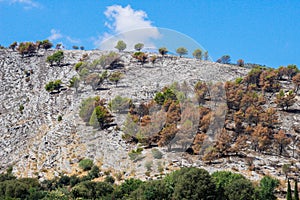 Beautiful mountain scenery with high hills and vegetation in Albania - the unexplored country