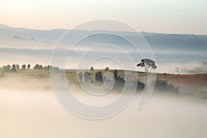 Beautiful mountain scenery mist at Khao-kho Phetchabun,Thailand photo