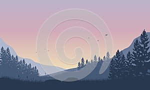 Beautiful mountain scenery with the silhouette of pine trees from the village at sunrise. Vector illustration