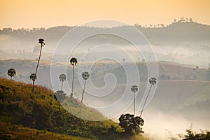 Beautiful mountain scenery sunrise at Khao-kho Phetchabun,Thaila