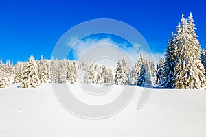 Beautiful mountain snowy landscape and snow covered trees. Beautiful sunny day in the mountains.