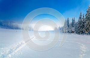 Beautiful mountain snowy landscape and snow covered trees and snowy paths in the snow. Beautiful sunny day in the