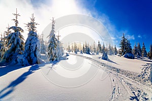 Beautiful mountain snowy landscape and traces of skiers.