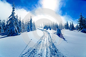 Beautiful mountain snowy landscape and traces of skiers.