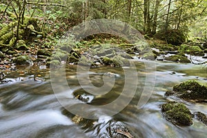 Beautiful mountain stream in autumn season