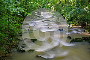 Beautiful Mountain Stream in the Jefferson National Forest