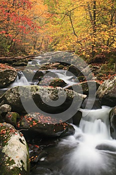 A Beautiful mountain stream in Smoky Mountain National Park