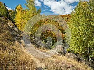 Beautiful mountain trek with a fall colored forest