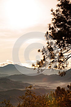 Beautiful mountain valley in Baguio, Luzon, Phillippines