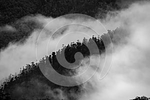 A beautiful mountain view with fog and clouds