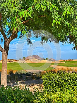 Beautiful Mountain View in golf resort . Summer time