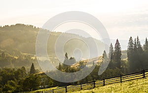 Beautiful mountain village in ukrainian carpathian mountains at dawn in summer