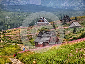 Beautiful mountainous landscape in Tatra in Poland.