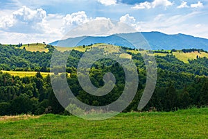 Beautiful mountainous rural scenery in summer