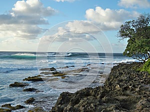 Beautiful mountainous seashore under the clear sky in Hawaii