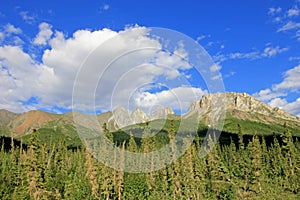 Beautiful mountains along the famous Dalton Highway, leading from Fairbanks to Prudhoe Bay, Alaska, USA