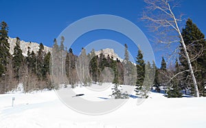 Beautiful mountains covered with snow. Sunny day