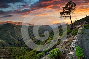 Beautiful mountains on the island of Gran Canaria in Spain at sunset