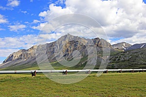 Beautiful mountains with oil pipeline along the famous Dalton Highway, leading from Fairbanks to Prudhoe Bay, Alaska