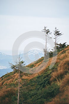 beautiful mountains. Ukrainian Carpathian Mountains. photo of mountains. autumn mountain landscape. Carpathians, mountains of