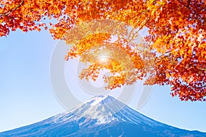 Beautiful Mt.Fuji with red maple leaf in autumn in Japan