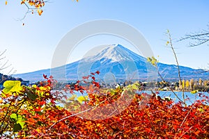Beautiful Mt.Fuji with red maple leaf in autumn in Japan