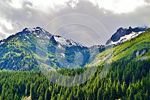 Beautiful Mt Rainier in Washington State