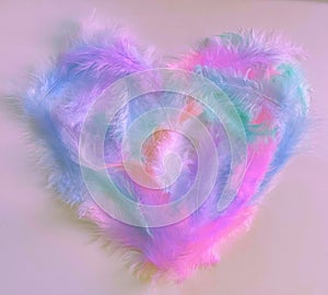 beautiful multi colored heart shaped feathers