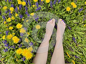 Beautiful multi-colored yellow, blue, purple pedicure on a female feet with different summer flowers